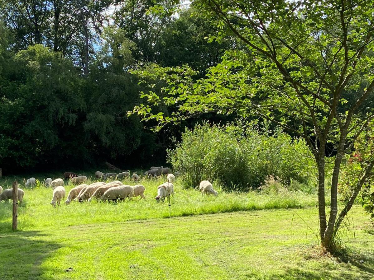 Domaine De Kerdavid - Chambres D'Hotes A Remungol Evellys Eksteriør bilde